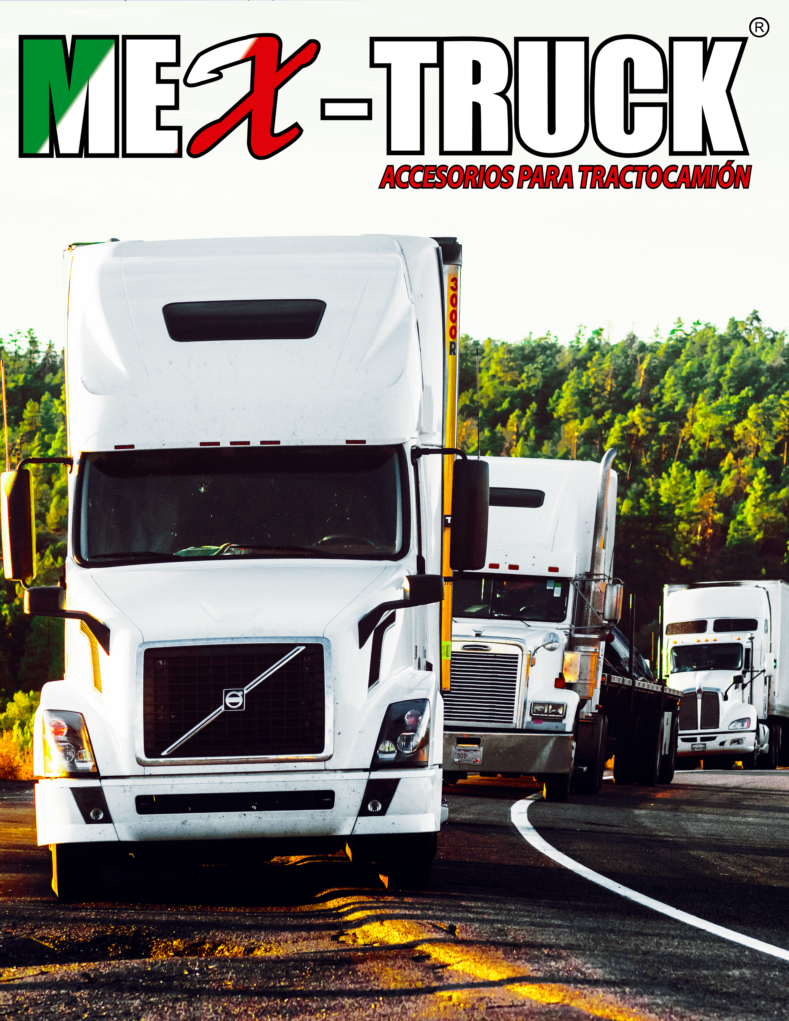 MEXTRUCK