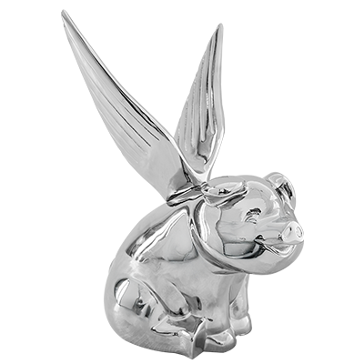 Imagen de CNMXT50PIG